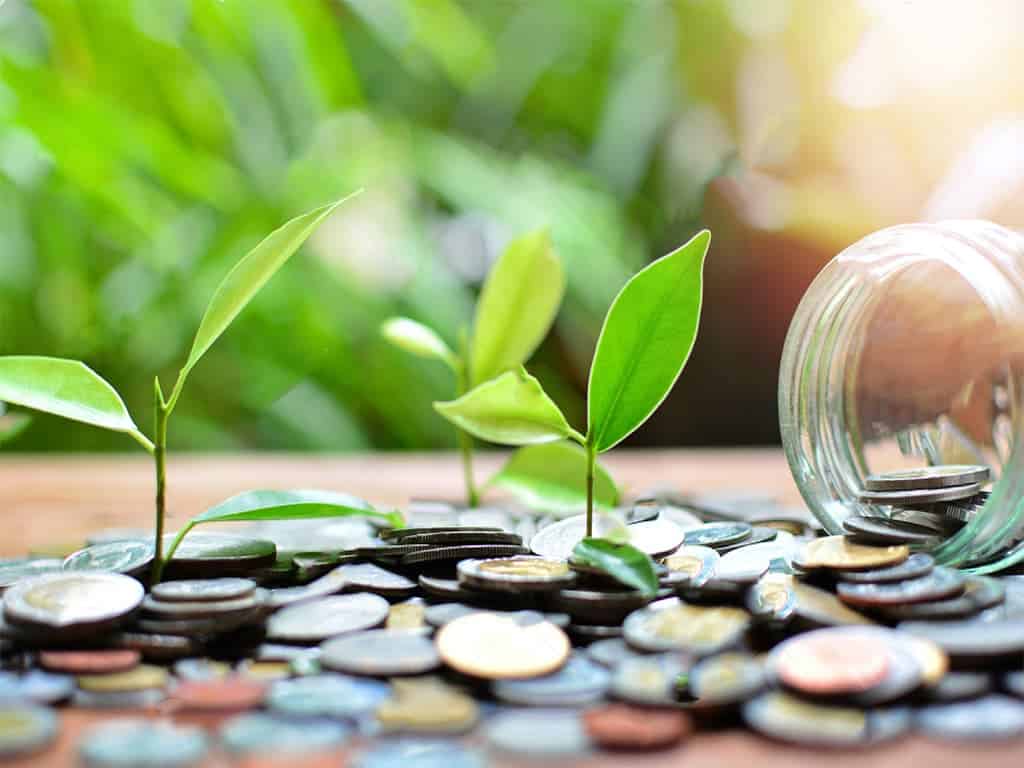 11 Best Socially Responsible Banks in the USA | Banks Done Right